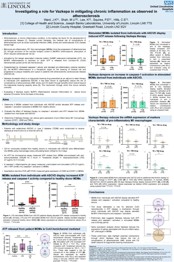Image of a one page summary of Investigating a role for Vazkepa in mitigating chronic inflammation as observed in atherosclerosis
