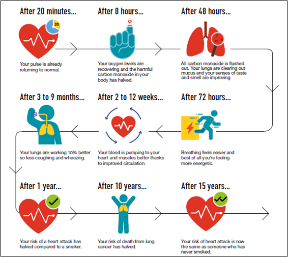 An infographic showing the health benefits over time after quitting smoking.
After 20 minutes: Your pulse is already returning to normal.
After 8 hours: Your oxygen levels are recovering, and the harmful carbon monoxide in your body has halved.
After 48 hours: All carbon monoxide is flushed out. Your lungs are clearing out mucus, and your senses of taste and smell are improving.
After 72 hours: Breathing feels easier, and you’re feeling more energetic.
After 2 to 12 weeks: Your blood is pumping to your heart and muscles better, thanks to improved circulation.
After 3 to 9 months: Your lungs are working 10% better, so there’s less coughing and wheezing.
After 1 year: Your risk of a heart attack has halved compared to a smoker.
After 10 years: Your risk of death from lung cancer has halved.
After 15 years: Your risk of heart attack is now the same as someone who has never smoked.