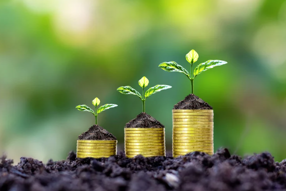 Three small plants growing from stacks of gold coins on soil, symbolising financial growth and investment.