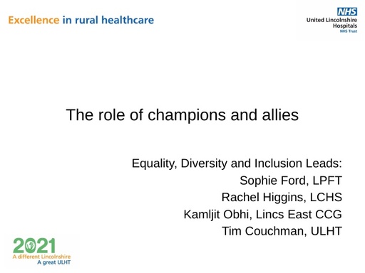 Equality Champions and Allies